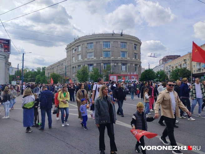Источник: Дмитрий Волгин / Voronezh1.ru
