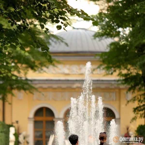 Источник: Дарья Драй / FONTANKA.RU
