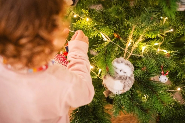 Топ-3 елки на, которые точно стоит сходить с ребенком | Источник: ARDIELPHOTO.COM/Shutterstock/Fotodom.ru