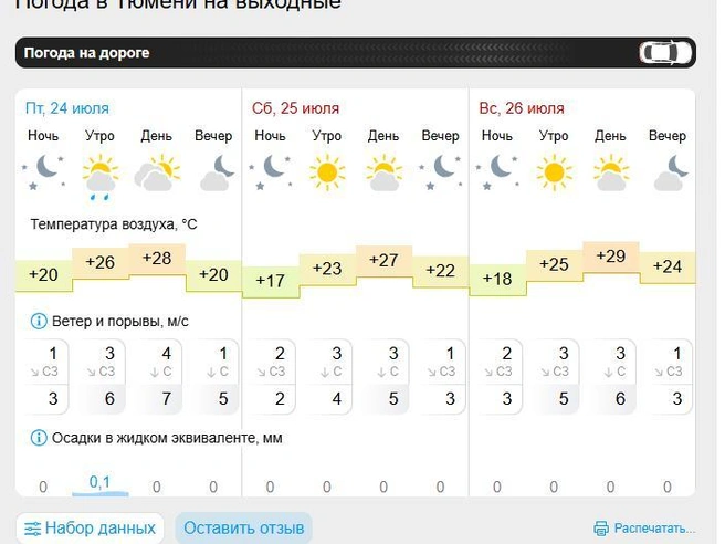 24 июля синоптики обещают кратковременные осадки | Источник: gismeteo.ru