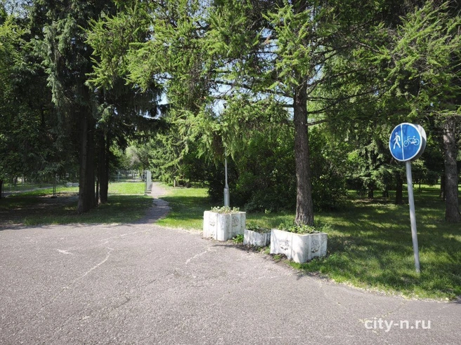 Источник: www.city-n.ru