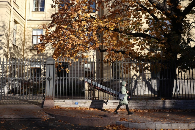Петербург погружается в осень: подробный прогноз погоды на эти выходные | Источник: Сергей Михайличенко / «Фонтанка.ру»
