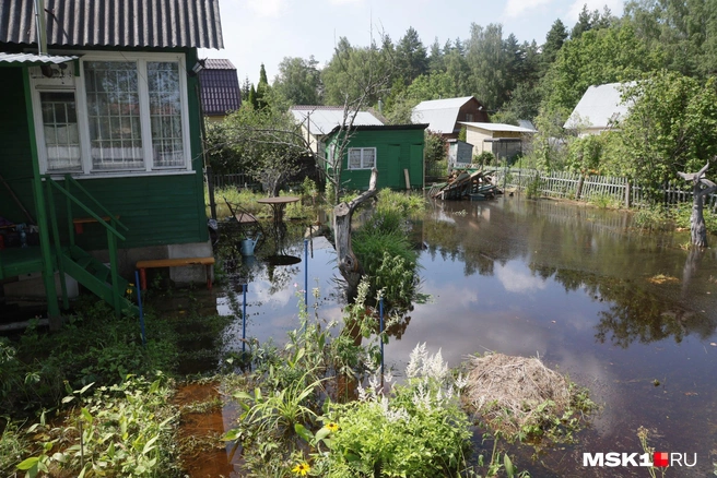 СНТ «Восход» в Орехово-Зуевском городском округе затопило | Источник: Дмитрий Толстошеев / MSK1.RU
