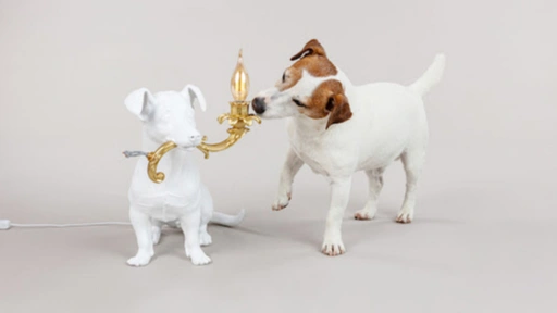 Rio Lamp: яркая новинка Seletti