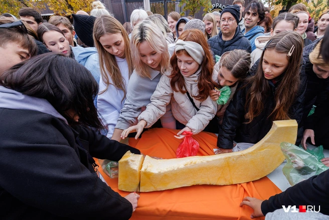 Кто-то даже лез под нож, лишь бы побыстрее получить кусочек | Источник: Алексей Волхонский / V1.RU