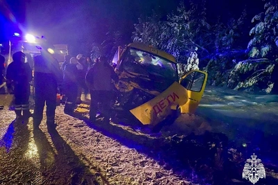 Столкновение автобуса и легковушки в Удмуртии: 14 пострадавших