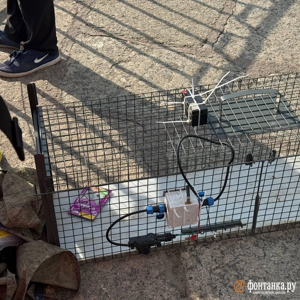 Источник: Валентин Егоршин / «Фонтанка.ру»