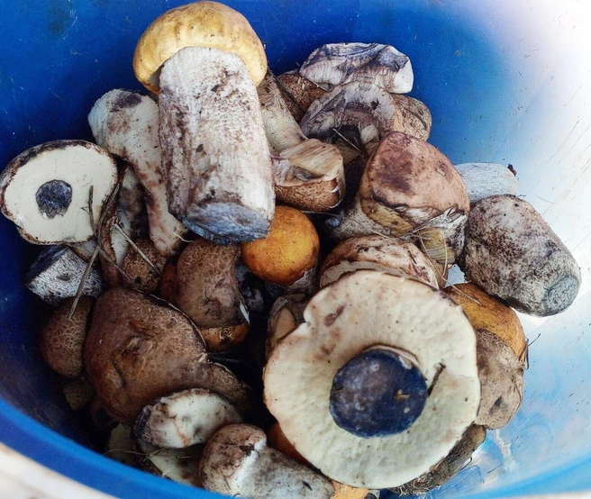 В Ровенском районе тоже вкусно | Источник: Наташа Башарова / vk.com