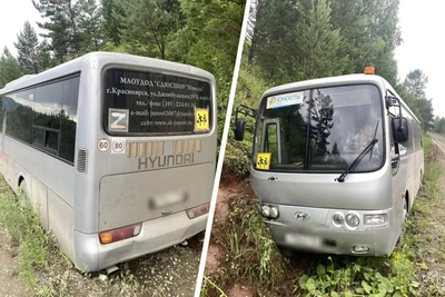 Автобус с детьми улетел в кювет под Красноярском