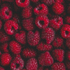userpic__Pgaljaa8051
