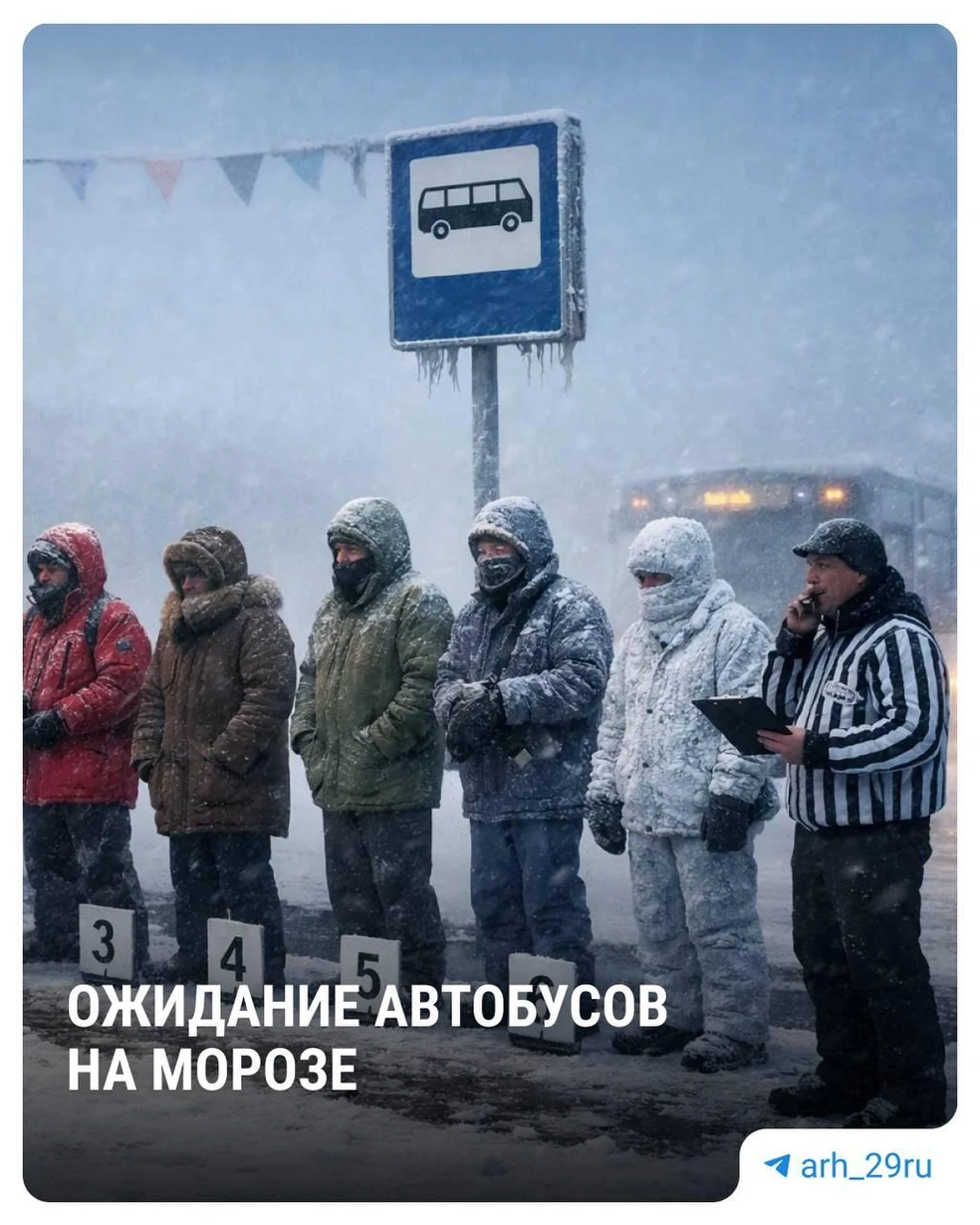Источник: Анастасия Гусева / 29.RU