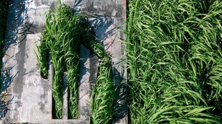 Что посмотреть на осенних выставках Cube.Moscow