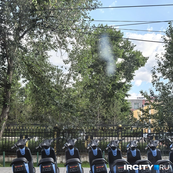 Ещё один популярный вид транспорта в Монголии  | Источник: Алёна Кашпарова / IRCITY.RU
