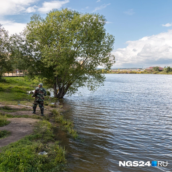 Спокойствие | Источник: Мария Ленц / NGS24.RU