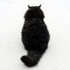 userpic__Дина12