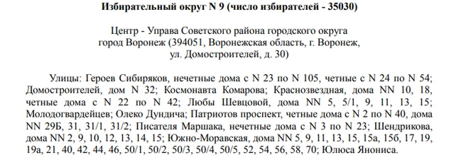 Источник: Избирательная комиссия Воронежской области / voronezh.izbirkom.ru