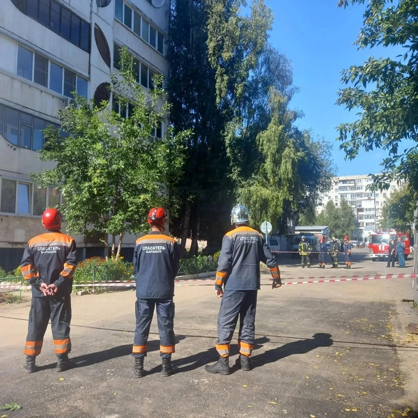 Источник: МЦУ города Барнаула