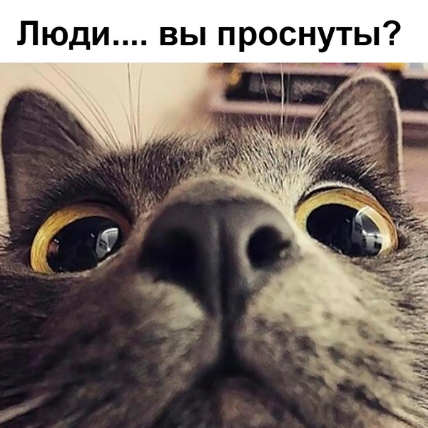 Источник: соцсети