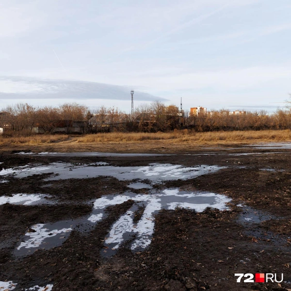 Источник: Ирина Шарова / 72.RU