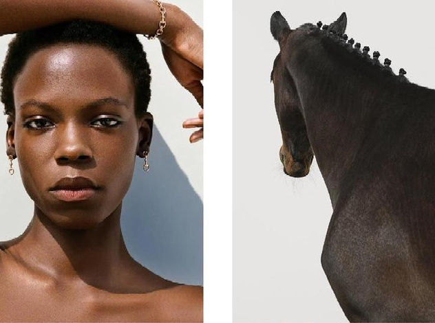 Чистое золото и много лошадок = новая кампания Horsebit от Gucci