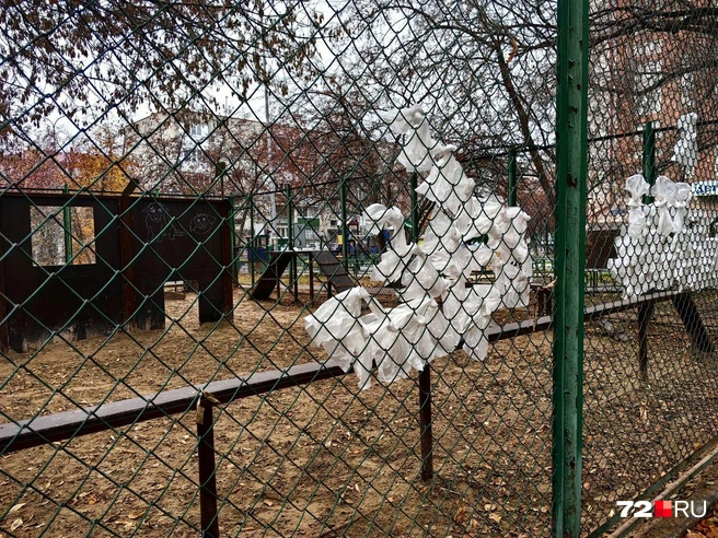 Самое милой, что вы увидите сегодня. На площадке для выгула собак кто-то вот так разместил пакетики для уборки за четвероногими | Источник: Павел Красоткин / 72.RU