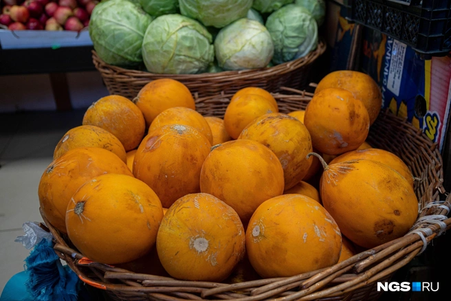 В ярмарке примут участие более 40 организаций | Источник: Александр Ощепков / NGS.RU