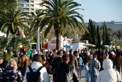 Организатор нелегальной миграции в Сочи получил шесть лет колонии