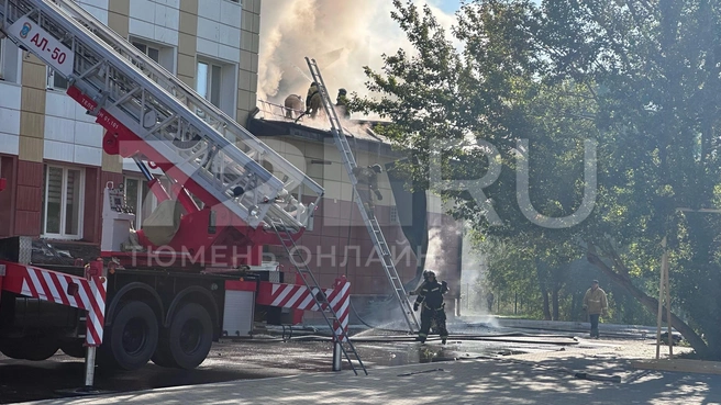 Детей еще не было. В Тюмени рано утром загорелась крыша школы № 65 — онлайн-трансляция | Источник: Ирина Шарова / 72.RU