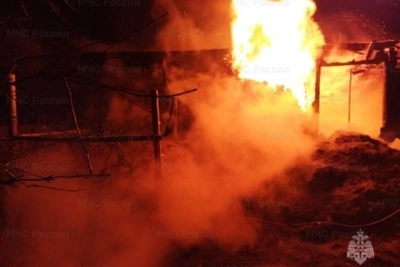 На ферме под Ярославлем при пожаре погиб скот