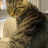 userpic__Милана Верт