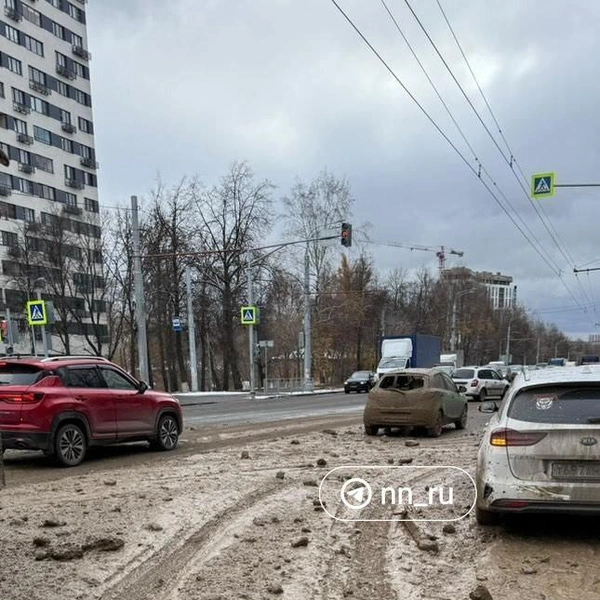 Источник: предоставлено Ириной Шириной