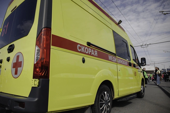 В Кронштадте мальчик упал с Макаровского моста в овраг, пытаясь спасти кошку | Источник: Лина Саитова / 116.RU