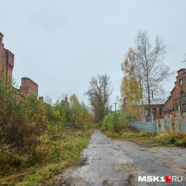 Источник: Дмитрий Толстошеев / MSK1.RU