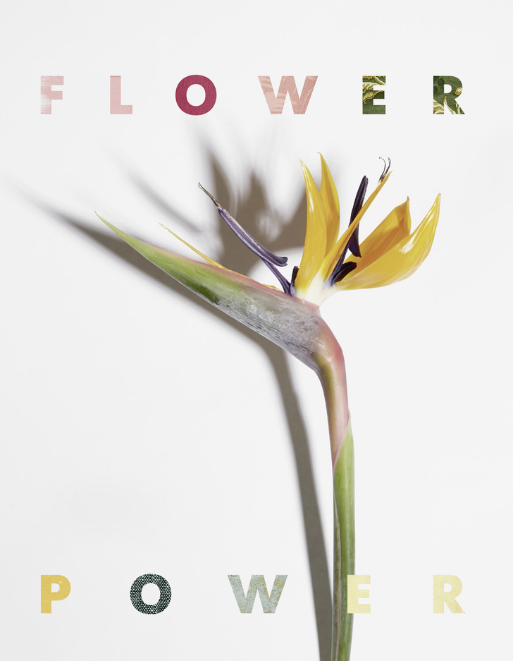 Flower Power: (фото 0)