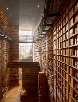 Не просто хранилище книг: удивительная архитектура библиотек XXI века