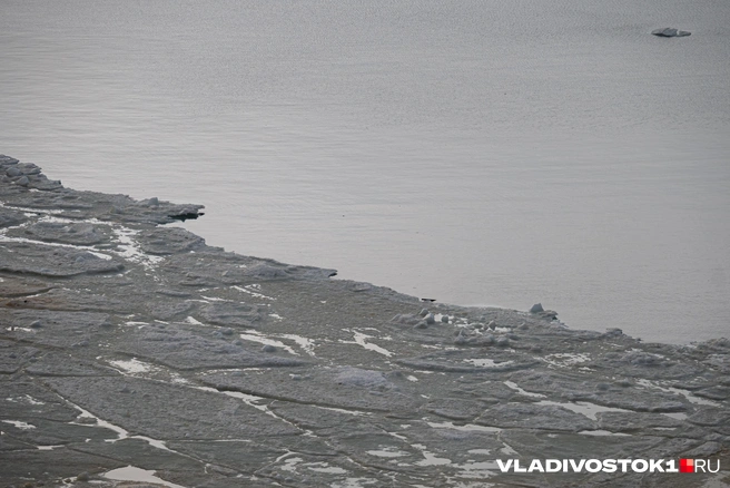 Людей не останавливает ничего | Источник: Елена Буйвол / VLADIVOSTOK1.RU