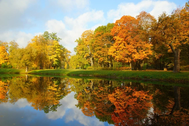 Источник: www.shutterstock.com
