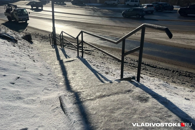 Источник: Елена Буйвол / VLADIVOSTOK1.RU