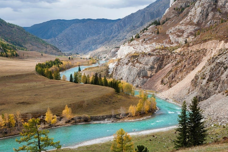 Река Чуя | Источник: Яна Краснопевцева / CC BY-SA 4.0