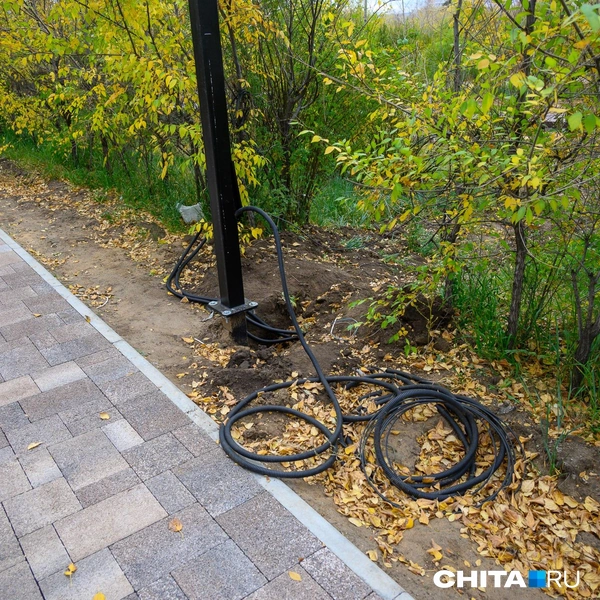 Источник: Олег Фёдоров / CHITA.RU