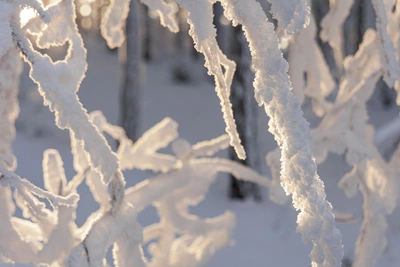 Морозы до -33°С ожидаются в Зауралье в выходные