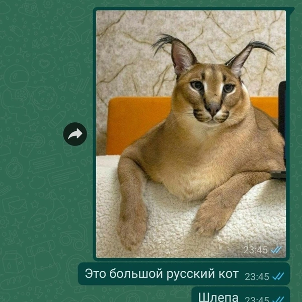 Источник: Соцсети