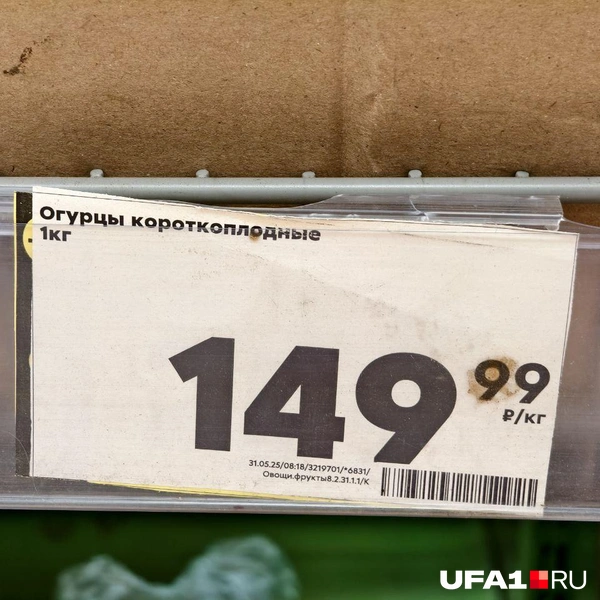 Источник: Булат Салихов / UFA1.RU