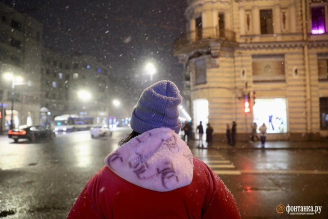 Погода начнет ухудшаться сегодня ночью | Источник: Сергей Михайличенко / FONTANKA.RU