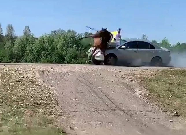 В Башкирии автомобиль врезался в гужевую повозку, пять человек пострадали | ya62.ru
