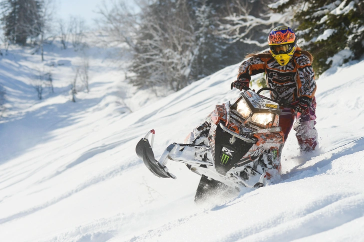 Источник: Suvorov_Alex via Shutterstock/Fotodom.ru