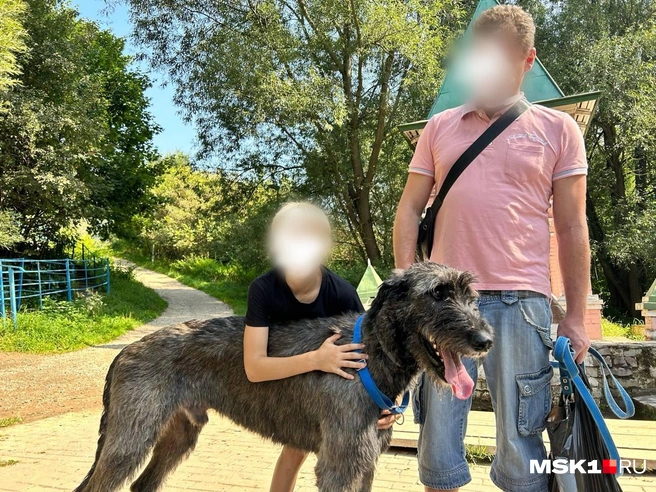 Александра задержала Росгвардия во время прогулки с собакой, пес убежал | Источник: предоставлено Александром для MSK1.RU