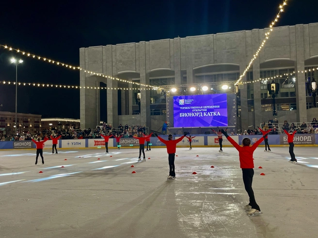 К новому сезону арена была расширена | Источник: УЗПМ