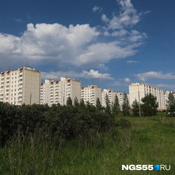 На этом пустыре планировали построить школу, но пока на нее нет денег  | Источник: Евгений Софийчук / NGS55.RU
