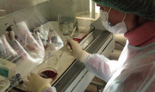 В Мариуполе зарегистрировано два новых случая холеры